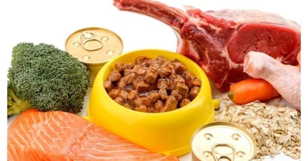 10 Best Dog Foods for Sensitive Stomach