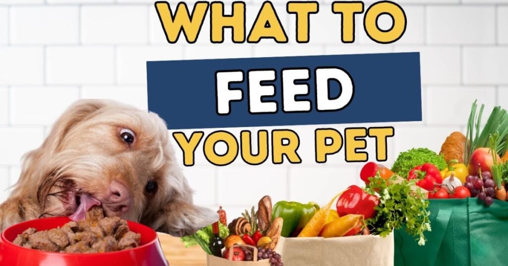 Feeding Tips for Sensitive Dogs