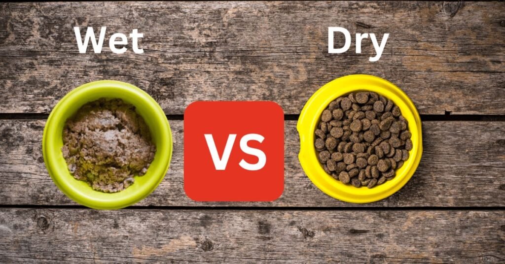Wet vs. Dry Dog Food