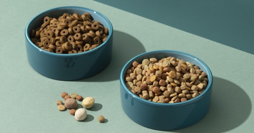 Wet vs. Dry Grain Free Cat Food