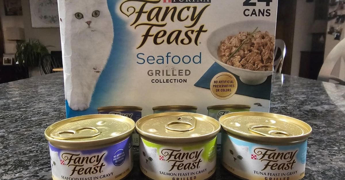 fancy feast wet cat food_