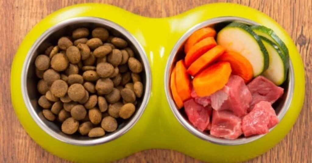 Dr Marty’s Dog Food Ingredients Explained