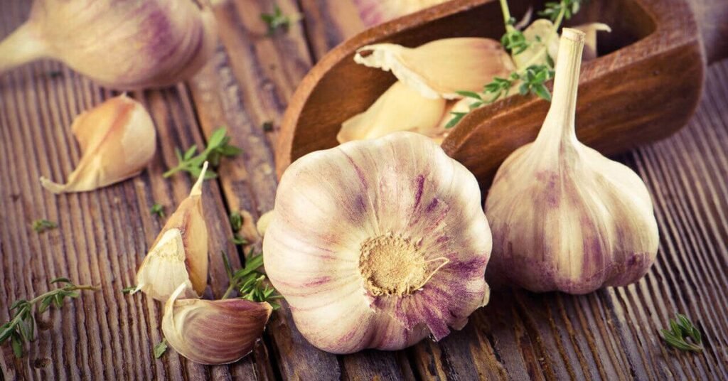 Garlic and Its Potential Benefits Against Parasites
