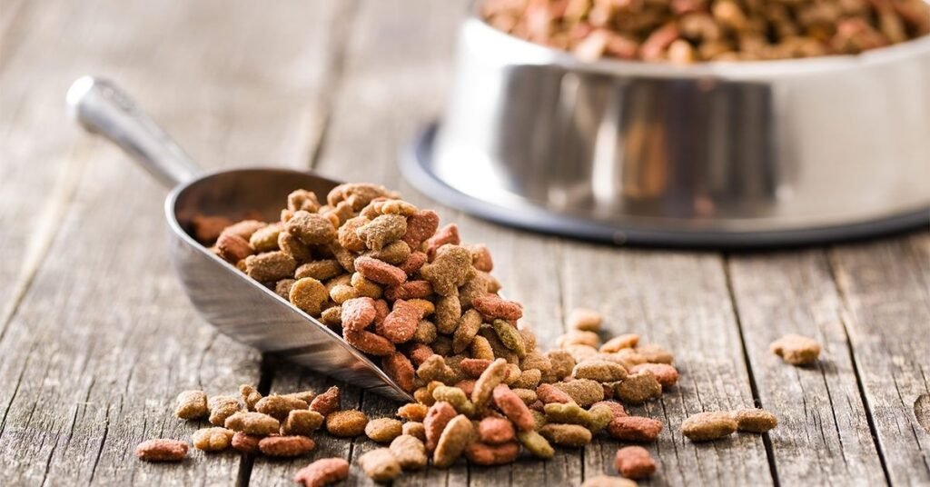 How Dr Marty’s Dog Food Is Made