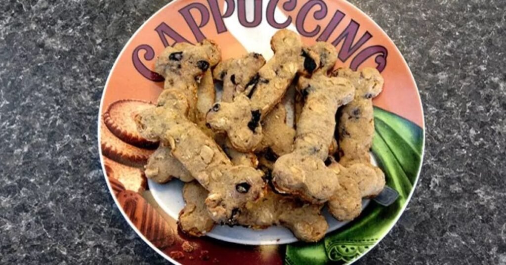 Jinx Dog Food Flavors and Recipe Options