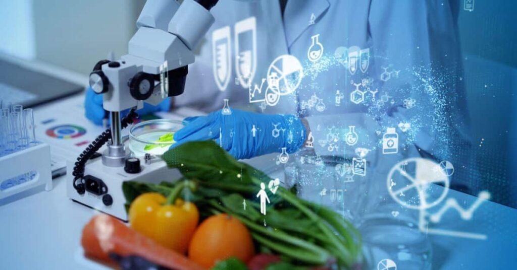 Major Sectors Within the Mexican Food Industry