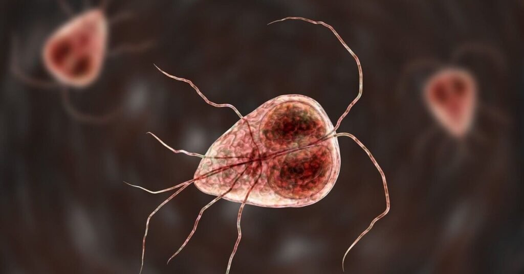 What Are Parasites in Humans