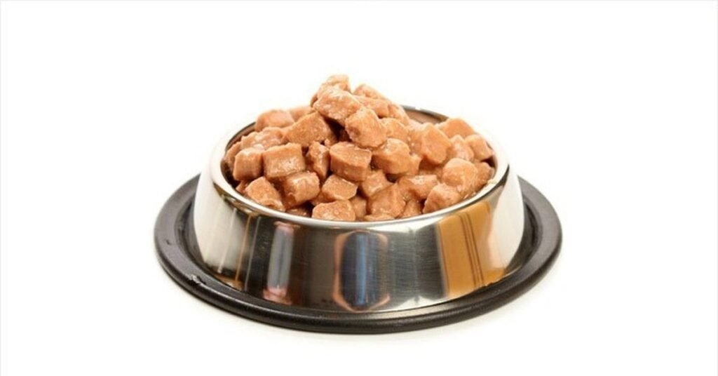What Is Sheba Cat Food