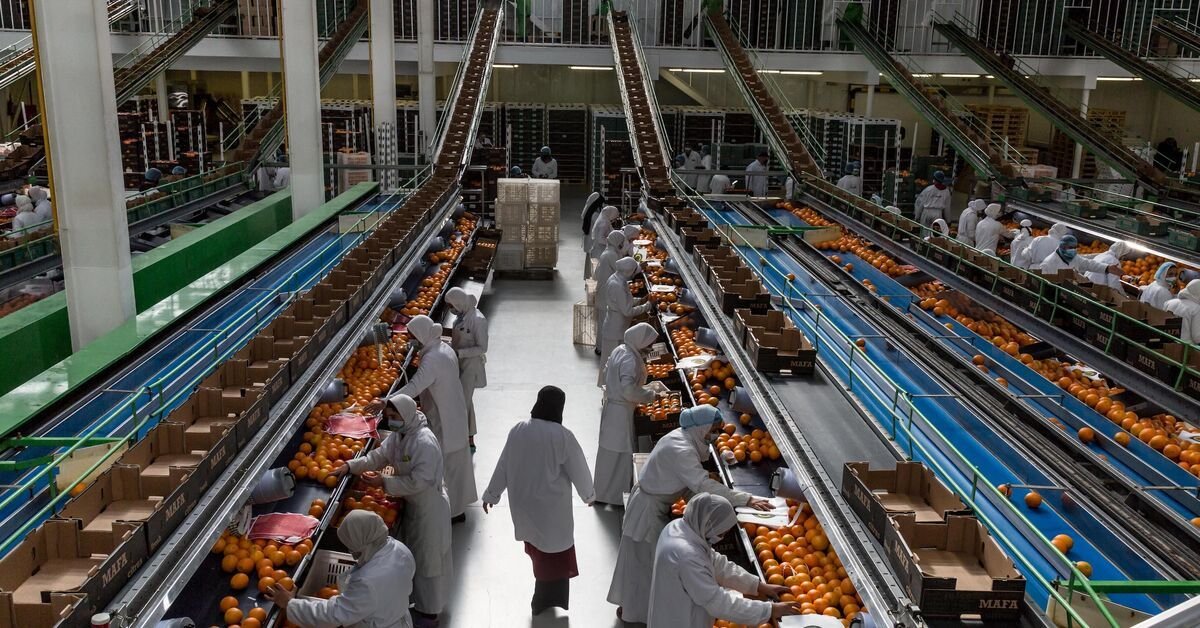 food industry mexico